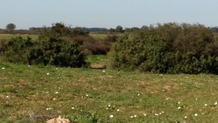 3 Bedroom Property for Sale in Hopefield Rural Western Cape